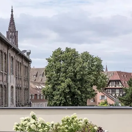 L'academie - Magnifique 3 Krutenau Avec Parking Strasbourg